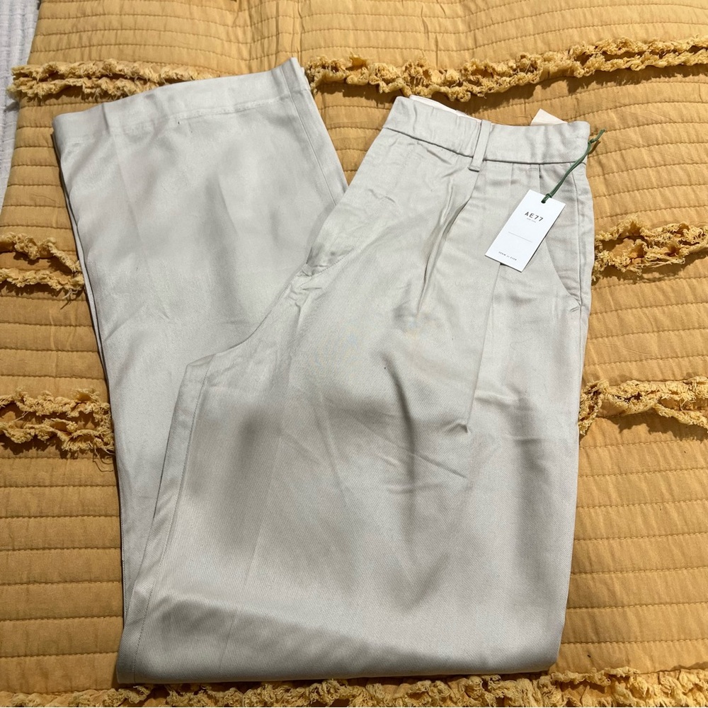 AE 77 Premium Dress Pants